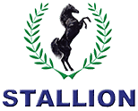 Stallion